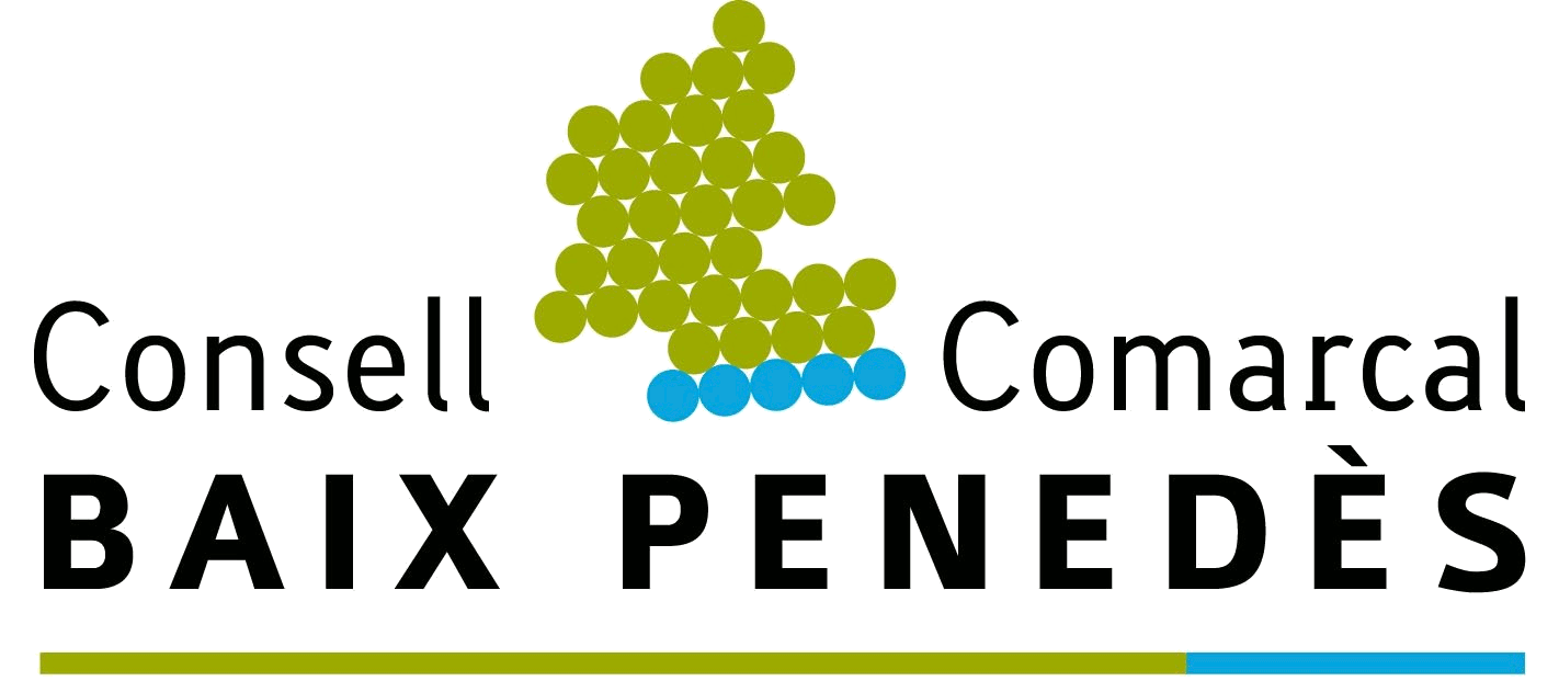consell comarcal baix penedès